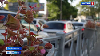 В Крыму усилился поток транспорта на дорогах