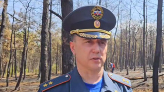 Пожар в Симферопольском районе локализовали