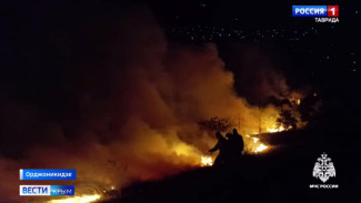 Лесной пожар в посёлке Орджоникидзе локализован