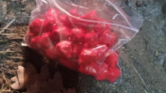 Два жителя Ялты пытались продать в Алуште крупную партию наркотиков