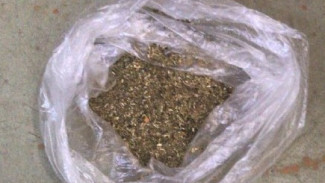 У жителя Кировского района в кармане куртки нашли марихуану