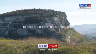 «Дорогу переходят слепые»: Документальный фильм Анастасии Калугиной и Клима Громова