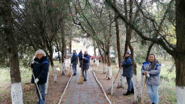 Жители Керчи вышли на масштабную очистку улиц от листвы