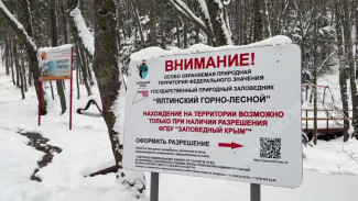 Обстановка на заснеженной дороге к плато Ай-Петри 17 января