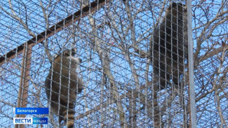 Как спасали животных из зоопарка в Херсоне