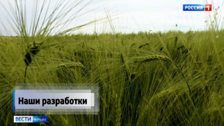 В Крыму учёные разработали многофункциональный биопрепарат для питания и защиты сельскохозяйственных культур