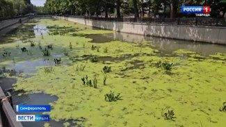 В Симферополе приступили к работам по очистке русла реки Салгир