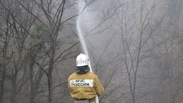 В МЧС рассказали подробности о пожаре на Южном берегу Крыма