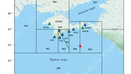 В Черном море произошло землетрясение магнитудой 2,9
