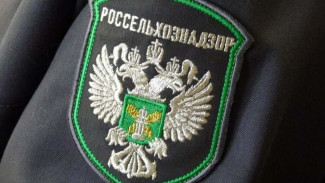 В Керчи обнаружили нелегальную продукцию животного происхождения