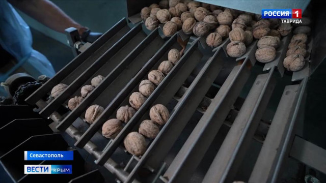 Крепкий орешек