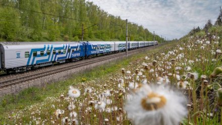 Все поезда «Таврия», которые следовали с задержкой, введены в график или прибыли на станции назначения