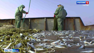 В Крыму стартует программа поддержки рыболовецких предприятий в форме субсидирования
