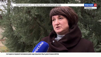 В Крым может прийти настоящая зимняя погода уже в понедельник 