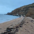 В Крыму утилизируют более 16 тонн мазута, собранного с Черноморского побережья