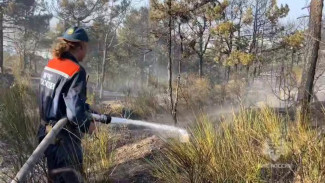 Пожар в Феодосии локализован: огонь остановлен в 100 метрах от города