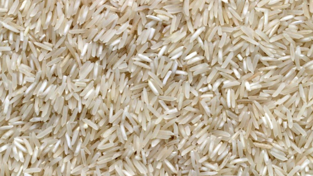 3,6 тысяч гектаров риса посеют крымские аграрии в 2023 году